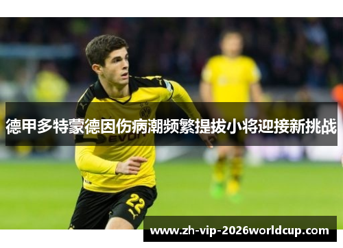 德甲多特蒙德因伤病潮频繁提拔小将迎接新挑战 德甲多特蒙德因伤病潮频繁提拔小将迎接新挑战